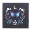 Midnight Moth Light Up Canvas Plaque