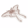 Luna Moth Trinket Dish
