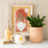 Terracotta Sun Plant Pot