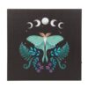 Luna Moth Light Up Canvas Plaque