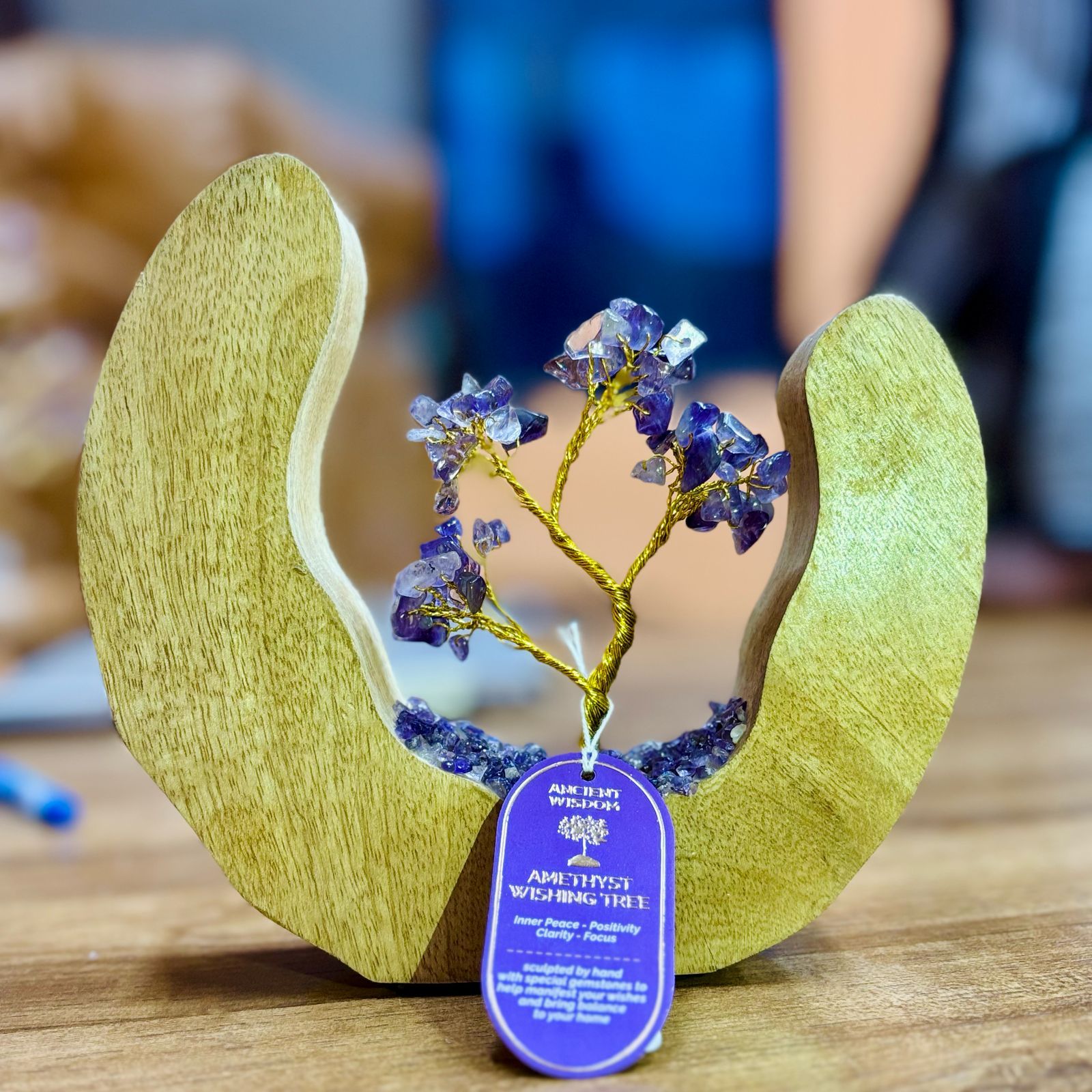 bG9jYWw6Ly9tZWRpYS85Si8yRS82MFIzMEMxSDc0UksyRTlKL2M1Yjk2YzQ1LmpwZWc.jpg Gemstone Tree Garden - Mango Wood Open Ring - Amethyst - 60 chipstones