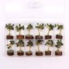 bG9jYWw6Ly9tZWRpYS85Uy9FRS82MFIzMEMxRzZXUjNFRTlTLzYzMTgyMDk3LmpwZWc.jpg Mini Gemstone Tree On Wood Base - Green Aventurine (15 stones)