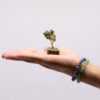 bG9jYWw6Ly9tZWRpYS8xSC9HQy82MFIzMEMxRzZXUjNHQzFIL2VmMDZiMTdhLmpwZWc.jpg Mini Gemstone Tree On Wood Base - Green Aventurine (15 stones)