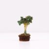 bG9jYWw6Ly9tZWRpYS8xSi9HQy82MFIzMEMxRzZXUjNHQzFKLzg5MmE5OGY5LmpwZWc.jpg Mini Gemstone Tree On Wood Base - Green Aventurine (15 stones)