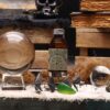 bG9jYWw6Ly9tZWRpYS8xUS80RC82MFIzMEMxSjY0UzM0RDFRLzBkYTY3YWM2LmpwZw.jpg Ancient Witch Ritual Water - Caribbean Sea Water