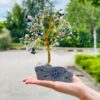 bG9jYWw6Ly9tZWRpYS9TRy82RC82MFIzMEMxRzY4U0s2RFNHLzhlNTZkMTJmLmpwZWc.jpg Moss Agate - 160 Stone
