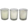 Gnome Sweet Gnome Candle Trio